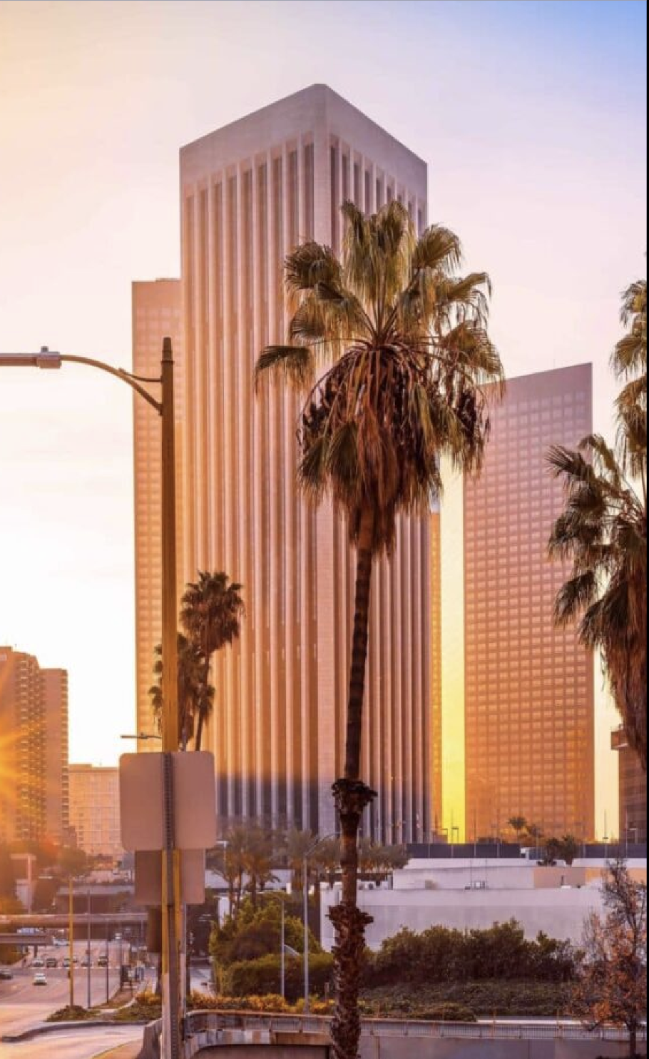 AVI SPL Contact Information