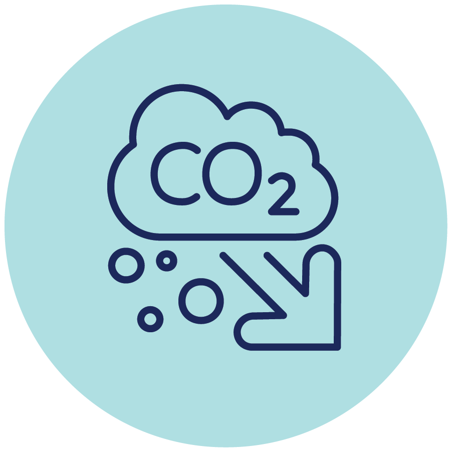 CO2 icon