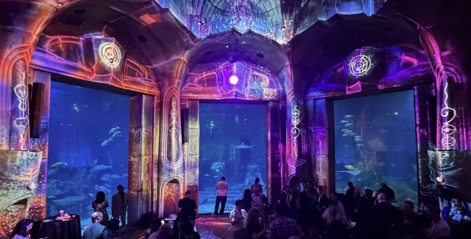 The Lost World Aquarium - XTG Projects